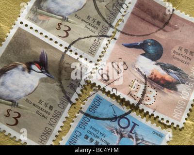 Briefmarken in einem Umschlag aus Hong Kong. Stockfoto