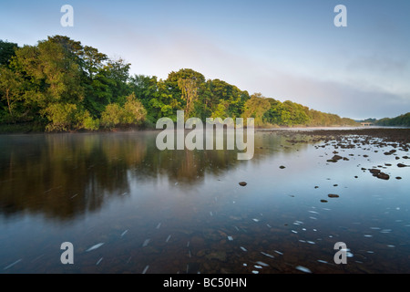 Das schnell fließende Wasser des Flusses Tyne auf einer nebligen Sommermorgen in der Nähe von das Dorf von morgen, Northumberland Stockfoto