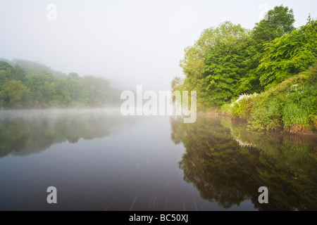 Über den schnell fließenden Gewässern des Flusses Tyne an einem Sommermorgen nahe dem Dorf von morgen, Northumberland aufsteigenden Nebel Stockfoto