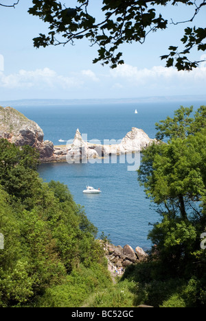 Ansteys Cove, South Devon, Englisch, Riviera, Agatha, Christie, Devon, England, Süden, Westen, englische Riviera Geopark, Amaryllis, Sai Stockfoto