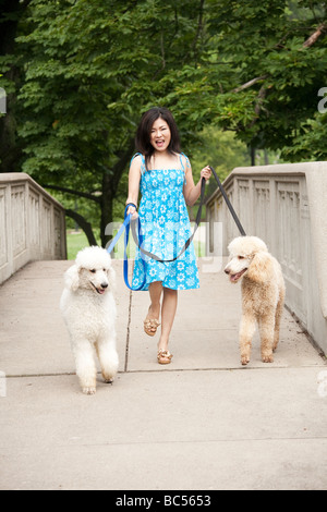 Schöne asiatische Frau, die zwei Hunde im Park spazieren Stockfoto