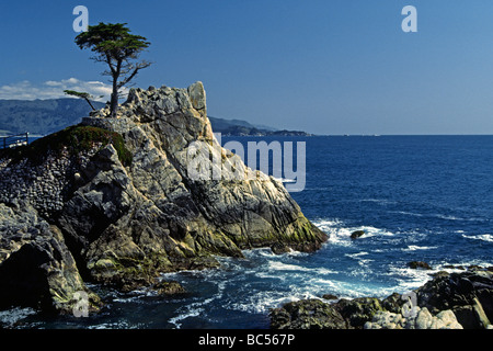 Bekannte LONE CYPRESS von PEBBLE BEACH Kalifornien Halbinsel MONTEREY Stockfoto