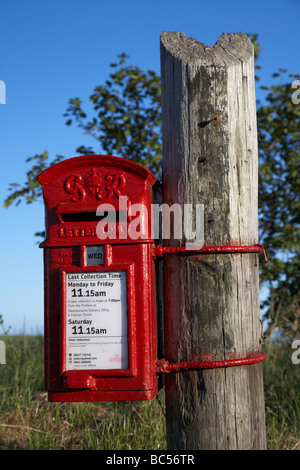 frisch gestrichene rot GR Postamt Post Sammlung Lampbox Briefkasten gebunden an einen Telegrafenmast Teil im County down Northern Irland Stockfoto