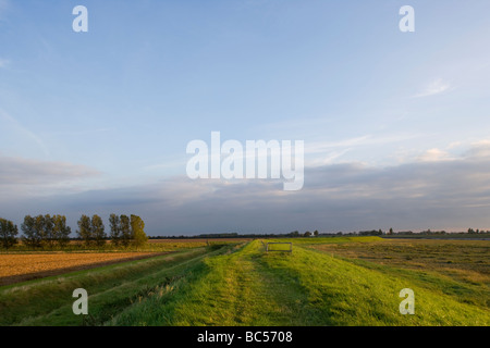 Jungs den Kopf Terrington Marsh Wash Lincolnshire England Stockfoto