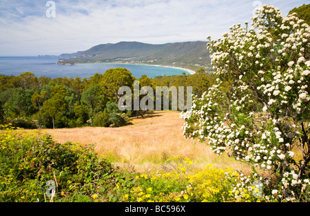 Pirates Bay Tasman Halbinsel Tasmanien Australien Stockfoto