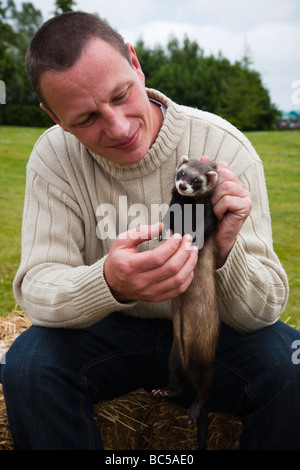 Mann mit seinem Haustier Iltis farbige Weibliche Frettchen, Edinburgh, Schottland Stockfoto