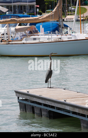 Lake Erie Island Put in Bay in Ohio USA mit Bootsliegeplatz Great Lakes Daily Life Lifestyle Low angle Close up vertikale Hi-res Stockfoto