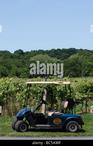 Amerikanisches Weinbaugebiet mit Weinreben, Bäumen und Traubenfeldern Weinbau produziert Amerika in Put in Bay Ohio USA Hi-res Stockfoto