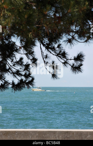 Island Put in Bay Lake Erie mit einem Motorboot in Ohio USA USA Great Lakes Wasserlandschaft Natur über Kopf Lifestyle Fotos Bilder vertikal hochauflösende Bilder Stockfoto