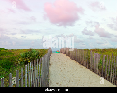 South Beach Miami, Sandweg zum Strand Stockfoto