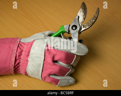 Gartenhandschuhe und Gartenscheren, erschossen auf einem hölzernen Hintergrund. Stockfoto