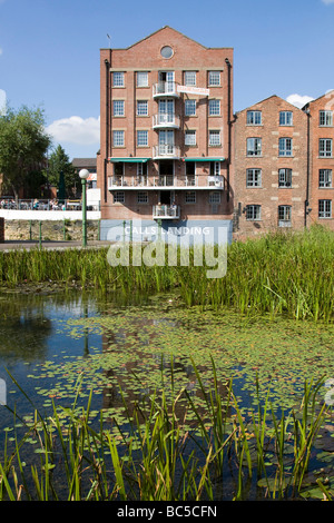 Anrufe, die Landung im Fluss Aire Leeds City Center West Yorkshire England uk gb Stockfoto