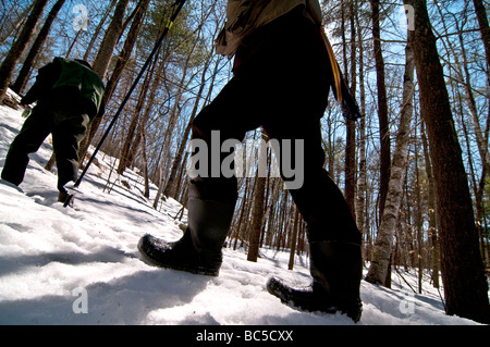Zwei im Ruhestand Kollegen in Richtung zu einem Fluss einige späten Winter, Vorfrühling Lachsfischen in New Hampshire. Stockfoto