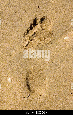 Fußabdruck im Sand, full-Frame, erhöht, Ansicht Stockfoto