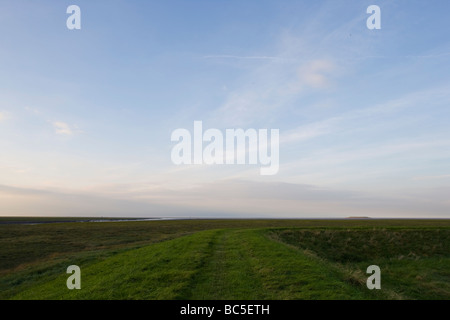 Jungs den Kopf Terrington Marsh Wash Lincolnshire England Stockfoto