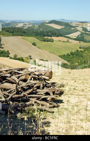 Sommerlandschaft in der Region Le Marche in Italien Stockfoto