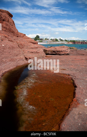 Englische Riviera Geopark Stockfoto