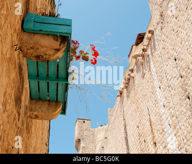 Blumenkasten auf einem Haus innerhalb der hohen Stadtmauern von Dubrovnik, Kroatien.  Touristen können an der Wand gesehen. Stockfoto