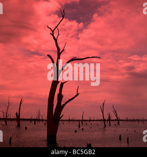 See Mulwalla Sonnenaufgang, Victoria, Australien. Stockfoto