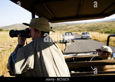 Tierbeobachtungen in Umfolozi Nationalpark, Südafrika Stockfoto