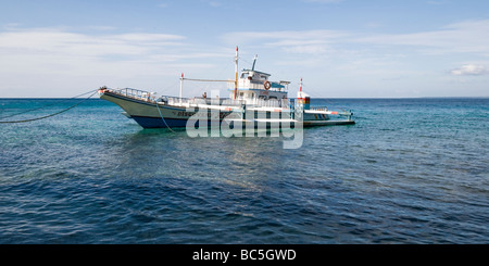 Ein Tauchen Boot vor Anker direkt an der Küste auf Apo Island, Philippinen Stockfoto