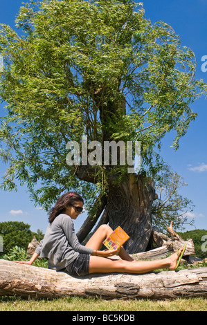 Vertikale Porträt eines attraktiven jungen Mädchen sitzen auf einem Baumstamm ein Buch unter einem Baum an einem sonnigen Tag Stockfoto