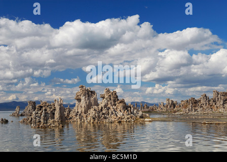 Mineralische Formationen des Mono Lake im östlichen Kalifornien Stockfoto