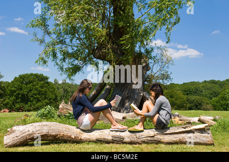 Horizontale Porträt von zwei attraktiven jungen Mädchen im Teenageralter sitzen zusammen auf einem Baumstamm Lesebücher unter einem Baum in der Sonne Stockfoto