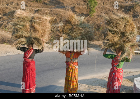 Indische Frauen, die Futtermittel Blick auf den Himalaya von Leti 360 Grad Hotel, 2300 m hoch, Vorgebirge, Hill Stations, Uttaranchal, North East, Indien Stockfoto