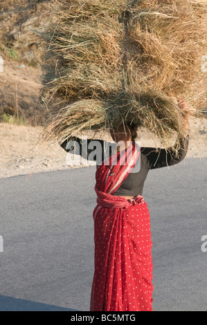 Indische Frauen, die Futtermittel Blick auf den Himalaya von Leti 360 Grad Hotel, 2300 m hoch, Vorgebirge, Hill Stations, Uttaranchal, North East, Indien Stockfoto
