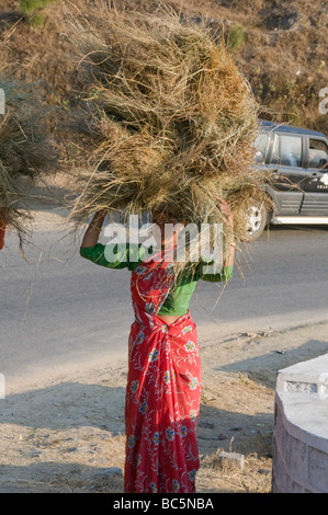 Indische Frauen, die Futtermittel Blick auf den Himalaya von Leti 360 Grad Hotel, 2300 m hoch, Vorgebirge, Hill Stations, Uttaranchal, North East, Indien Stockfoto