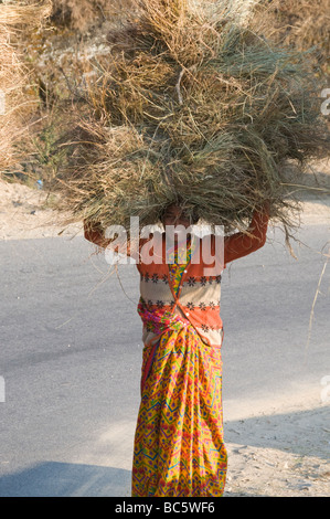 Indische Frauen, die Futtermittel Blick auf den Himalaya von Leti 360 Grad Hotel, 2300 m hoch, Vorgebirge, Hill Stations, Uttaranchal, North East, Indien Stockfoto