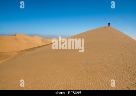 schönen Sanddünen des Skeleton Coast in die Namib Naukluft Wüste von Namibia Stockfoto