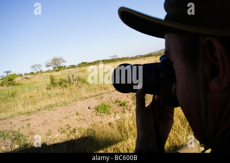 Tierbeobachtungen in Umfolozi Nationalpark, Südafrika Stockfoto