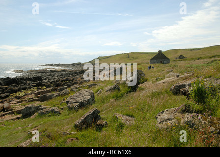 Der Küste auf den Firth of Forth in Crail, Fife. Stockfoto