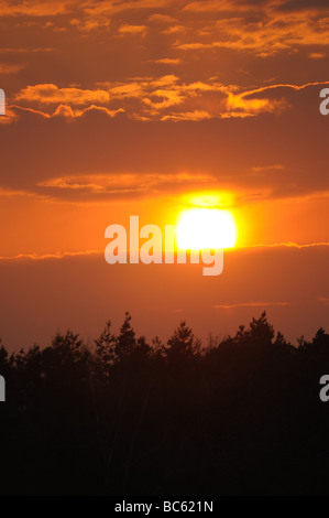 Muhr am See, Altmuehlsee, Deutschland Stockfoto