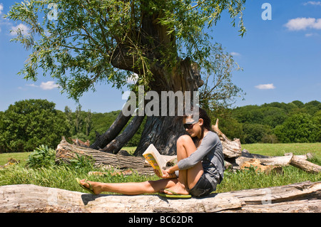 Horizontale Porträt eines attraktiven jungen Mädchen sitzen auf einem Baumstamm ein Buch unter einem Baum an einem sonnigen Tag Stockfoto