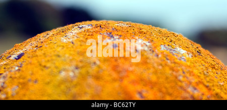 Algey on Statue, Osborne House, East Cowes, Isle of Wight, England, GROSSBRITANNIEN, GB. Stockfoto