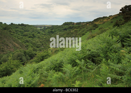 Blick vom Meldon Reservoir in Richtung Viadukt in der Nähe von Okehampton, Dartmoot, Devon, England, UK Stockfoto