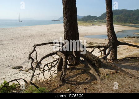 Playa de Rodas, Cíes-Inseln, Pontevedra, Spanien. Stockfoto