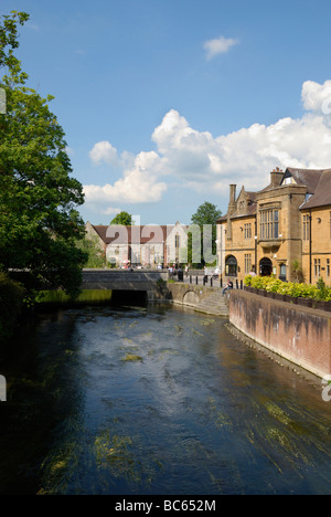 Der Fluss Avon in Salisbury Wiltshire England Stockfoto