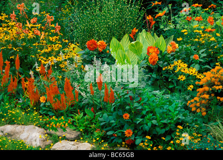 Der Orangengarten: Hinterhof-Garten gepflanzt in allen orange und gelbe passenden Blumen, Midwest USA Stockfoto