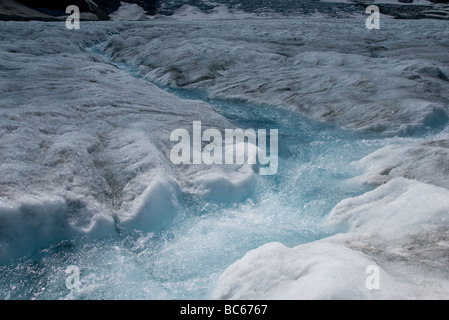 Schmelzen von Eis-Wasser an der Columbia-Gletscher, Alberta, Kanada Stockfoto