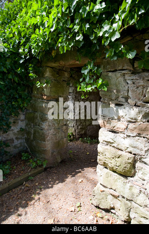 Durchgang in Gartenmauer mit Stein umgibt, überragt mit Efeu Stockfoto