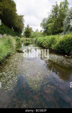 Blick entlang Stream, gesäumt von Bäumen und Sträuchern in einem englischen Landhaus Garten UK Stockfoto