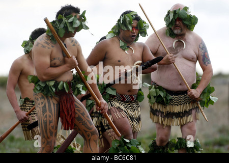 Maori Knochen sind geglaubt, um der ursprünglichen Siedler nach Neuseeland, zurückgekehrt und umgebettet Wairau Bar, Marlborough Stockfoto