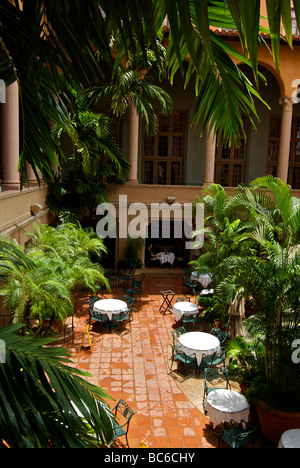 Einsamer Diner genießen exquisite Outdoor-Palme ausgekleidet Essbereich im Atrium-Garten Stockfoto