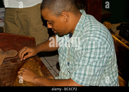 Zigarren-Hersteller in Little Havanna-Miami ab zur hand Roll Tabakblatt Stockfoto