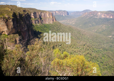 Blick über das Tal der Grose aus Govett Sprung in den Blue Mountains Stockfoto