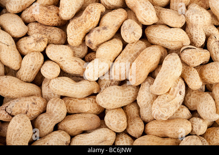 Hintergrund der geröstete Erdnüsse in einem Haufen gemacht Stockfoto